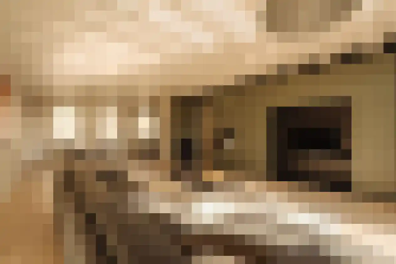 Nieuwe Achtergracht 11 2 Amsterdam thumbnail 6