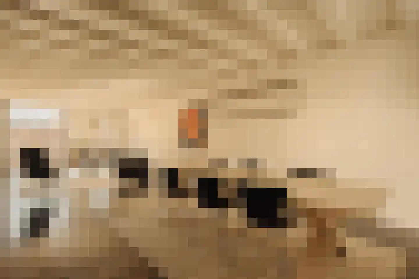 Nieuwe Achtergracht 11 2 Amsterdam thumbnail 9