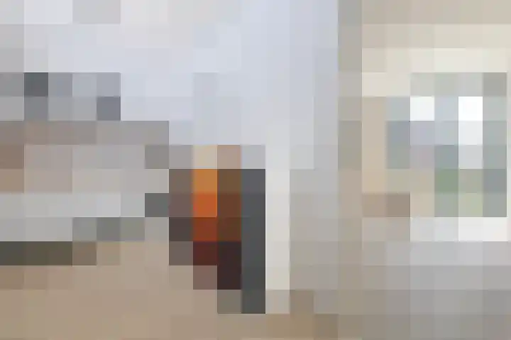 Nieuwe Achtergracht 11 H Amsterdam thumbnail 9
