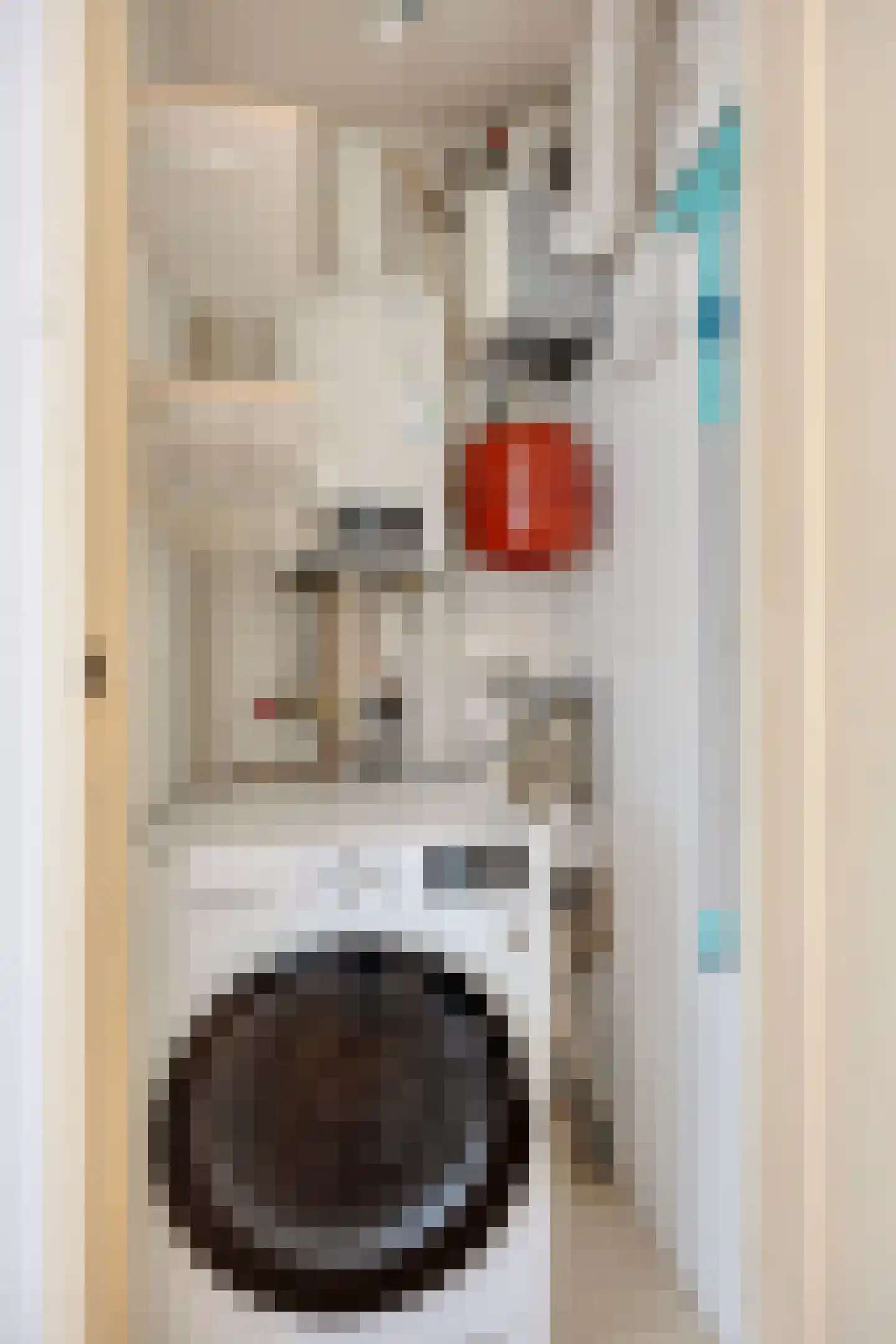 Nieuwe Achtergracht 112 B Amsterdam thumbnail 21