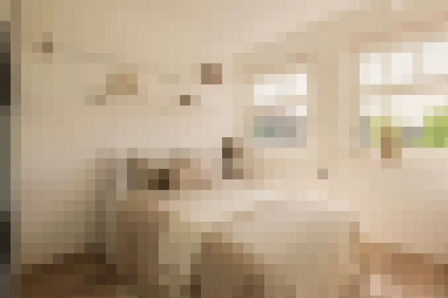 Nieuwe Achtergracht 18 1 Amsterdam thumbnail 19