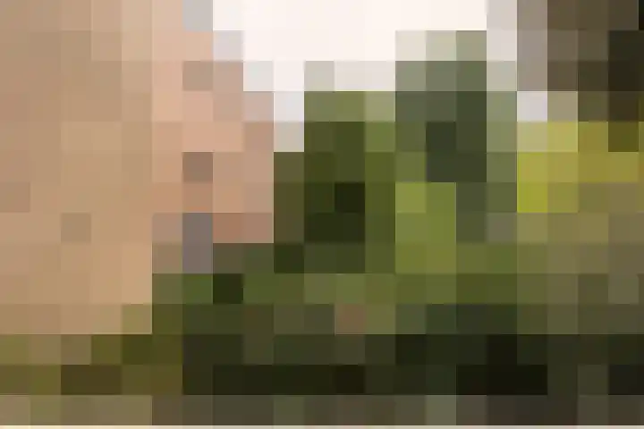 Nieuwe Achtergracht 20 1 Amsterdam thumbnail 16