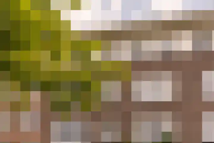 Nieuwe Achtergracht 20 1 Amsterdam thumbnail 4