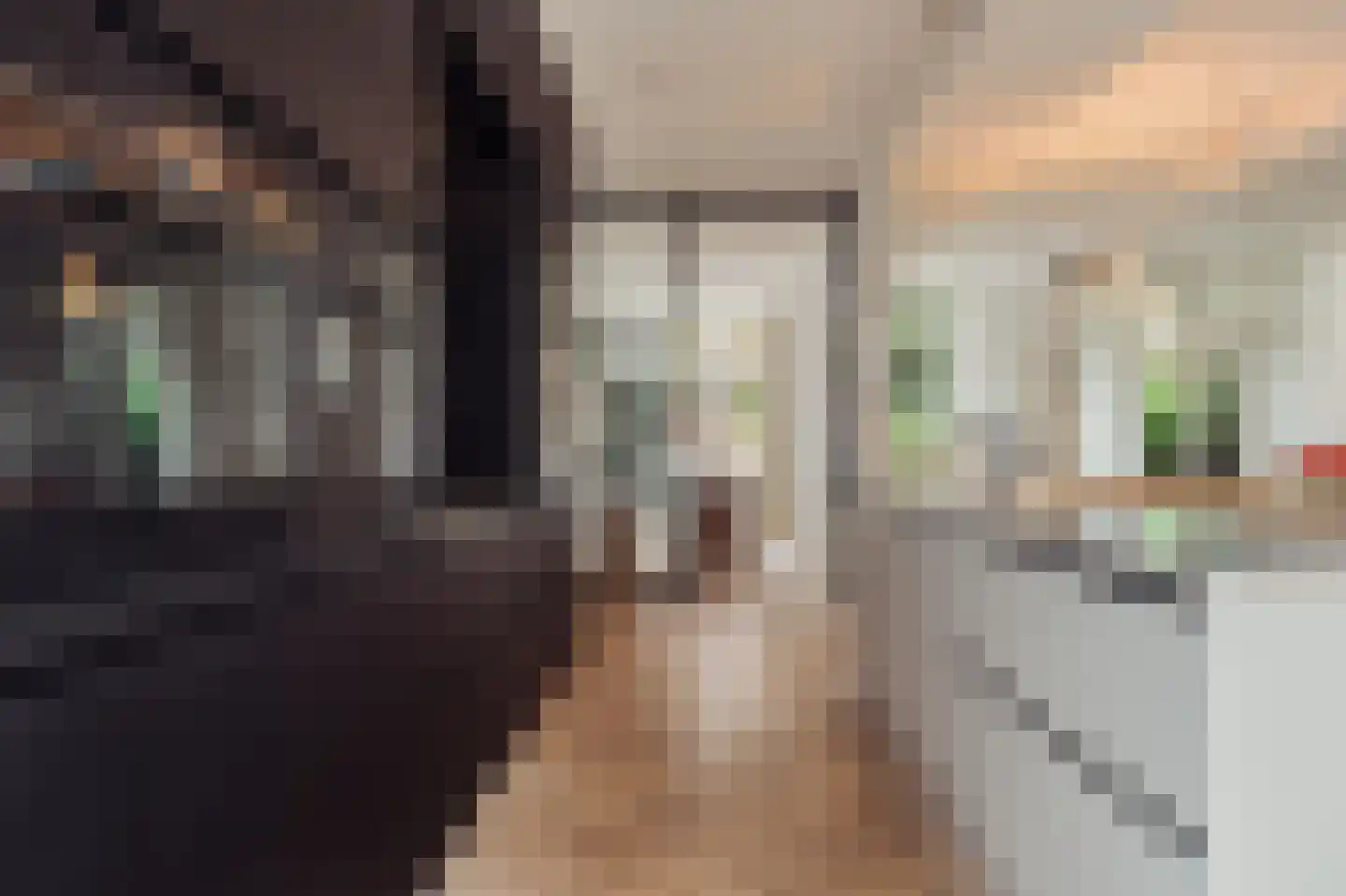 Nieuwe Achtergracht 27 1 Amsterdam thumbnail 22