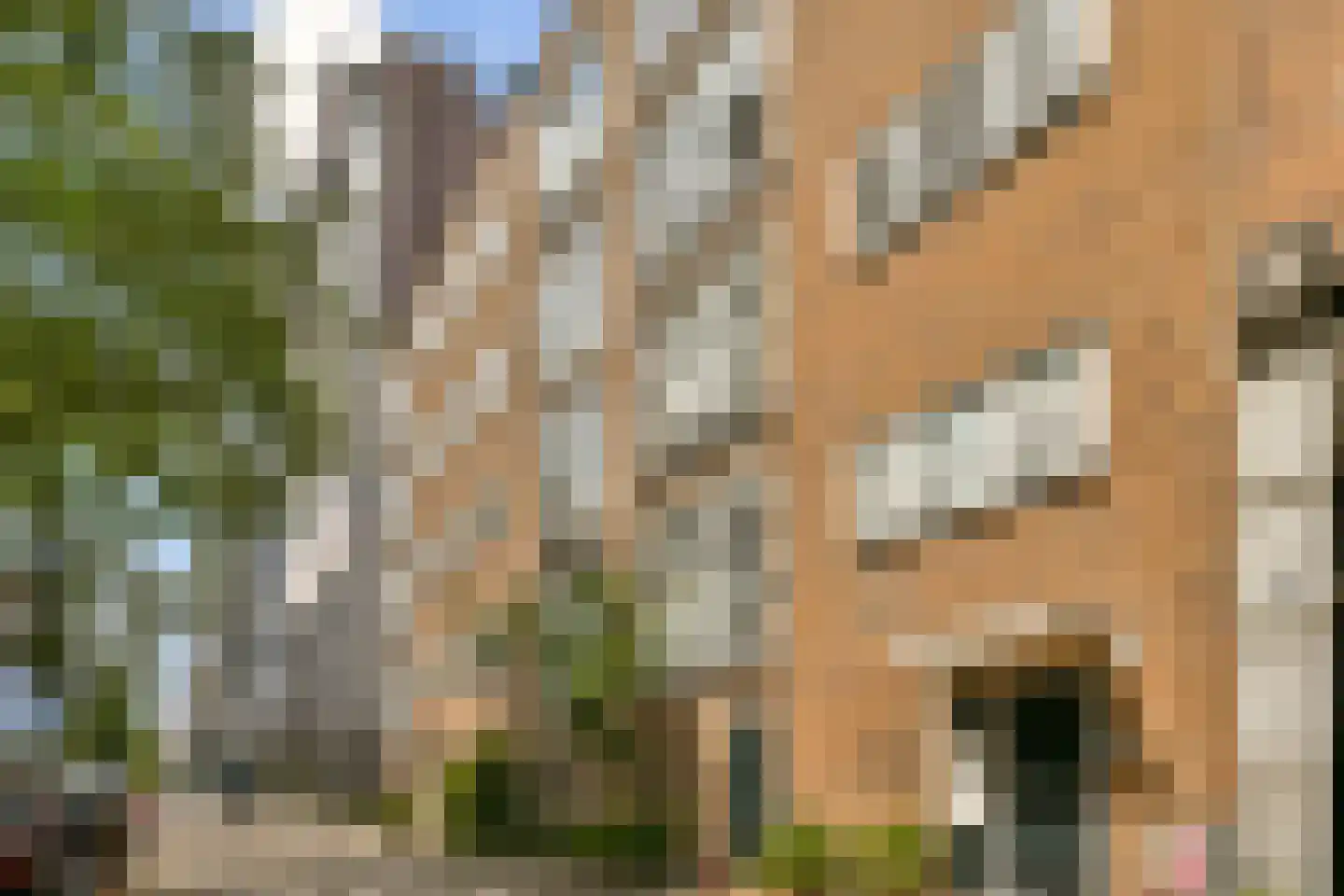 Nieuwe Achtergracht 51 H Amsterdam thumbnail 21