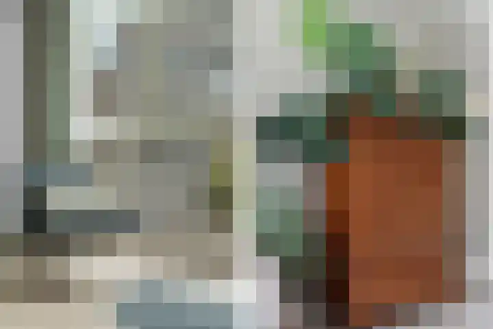 Nieuwe Achtergracht 53 H Amsterdam thumbnail 9