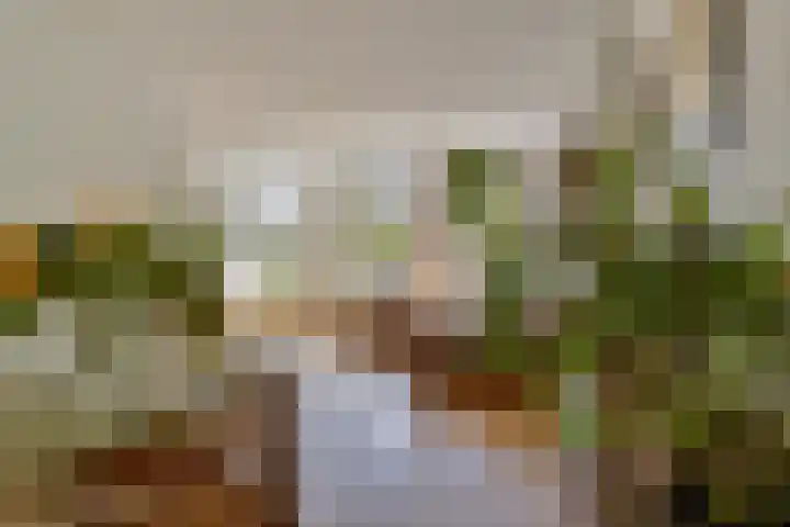 Nieuwe Achtergracht 83 4 Amsterdam thumbnail 13