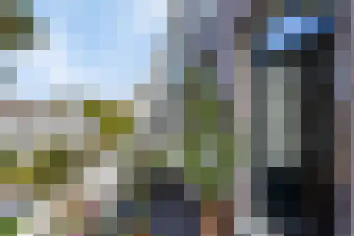 Nieuwe Achtergracht 83 4 Amsterdam thumbnail 4