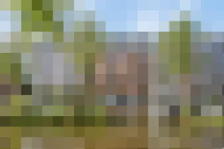 Nieuwe Achtergracht 83 4 Amsterdam thumbnail 5