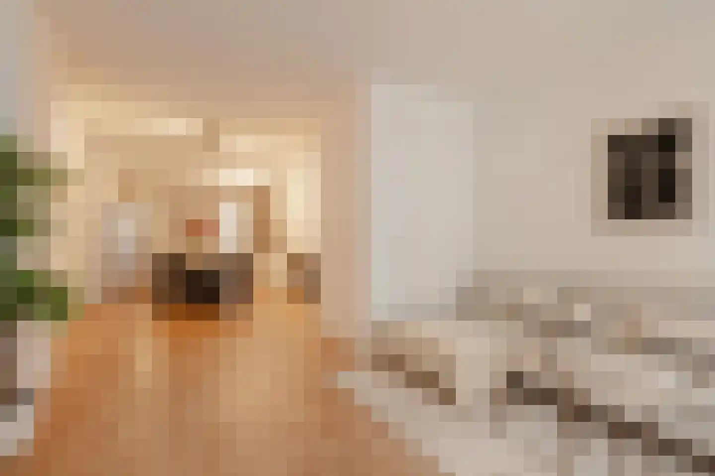 Nieuwe Achtergracht 87 2 Amsterdam thumbnail 6