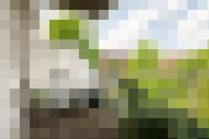 Nieuwe Achtergracht 89 3 Amsterdam thumbnail 5
