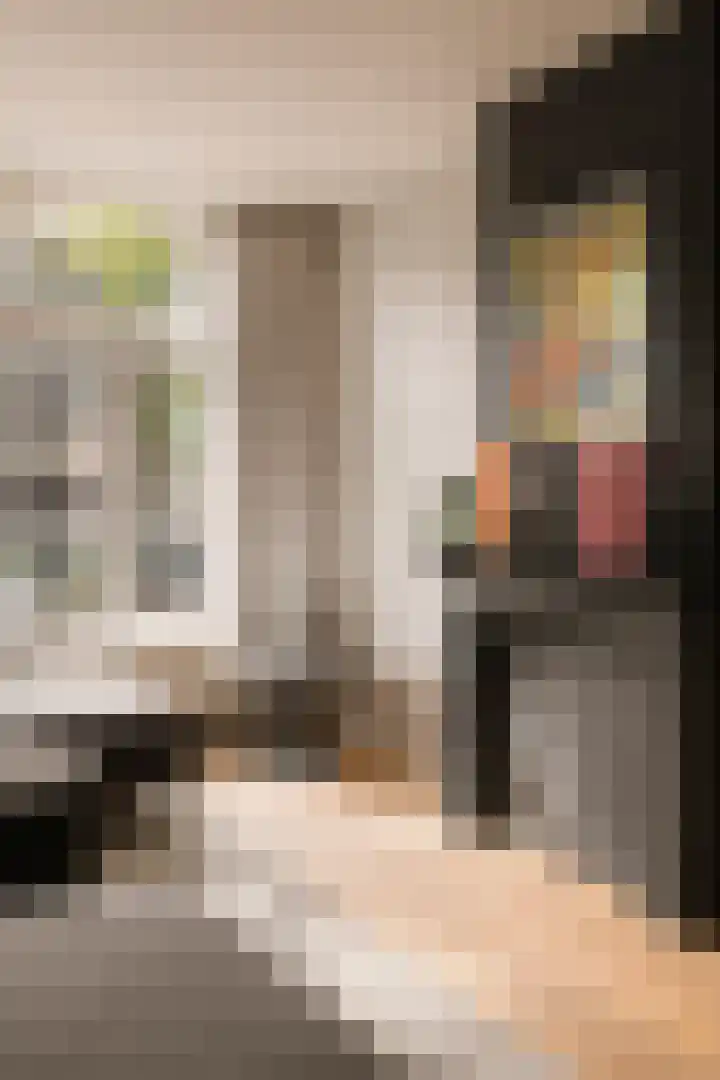 Nieuwe Achtergracht 93 H Amsterdam thumbnail 6