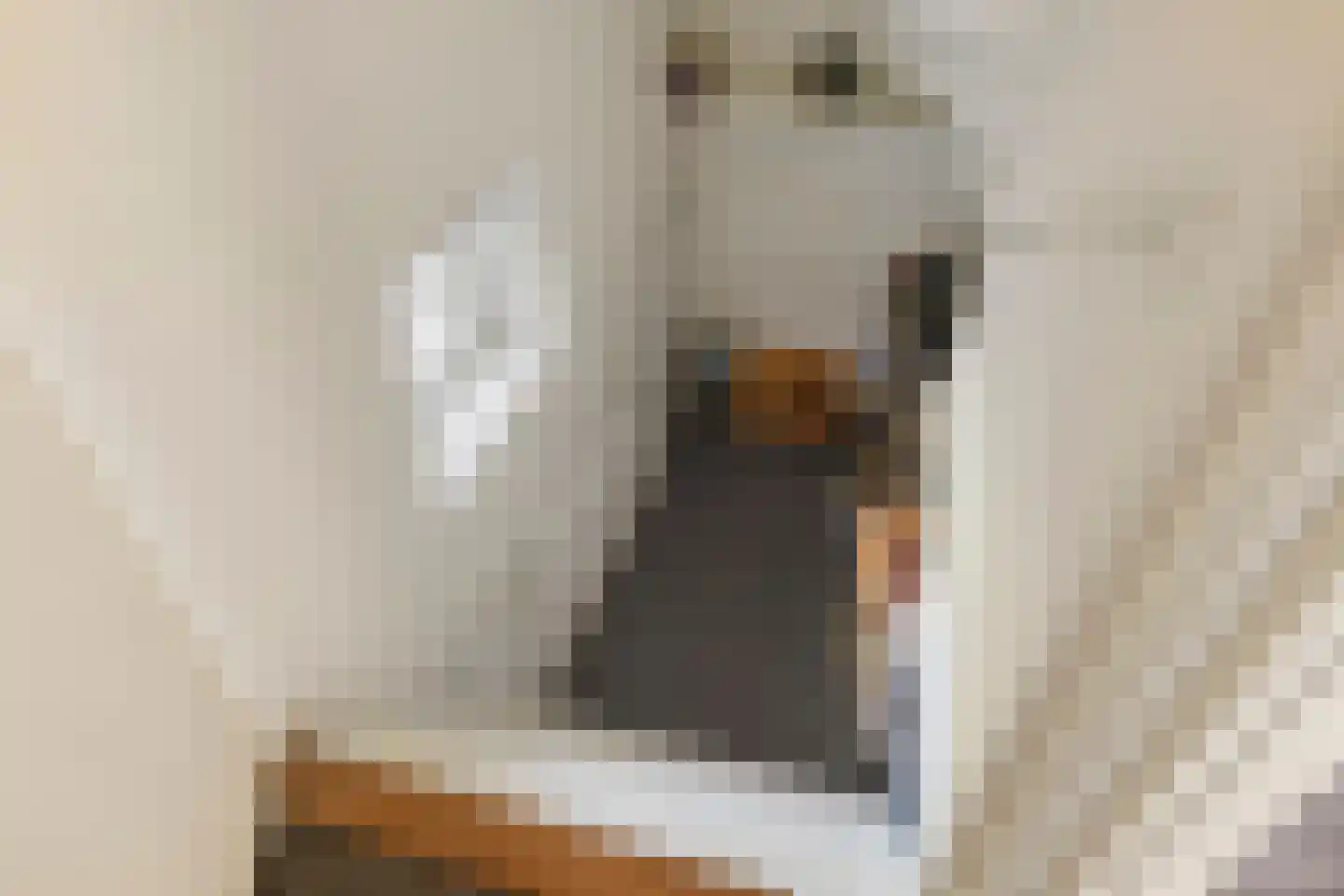 Nieuwe Akkers 2 a Paterswolde thumbnail 25