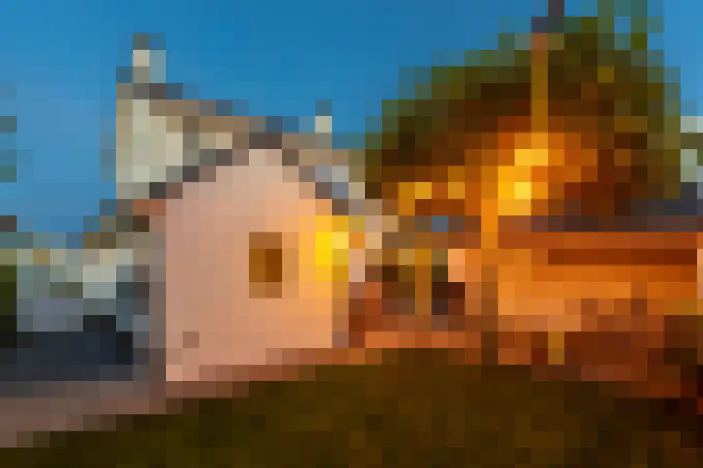 Nieuwe Akkers 2 a Paterswolde foto 3