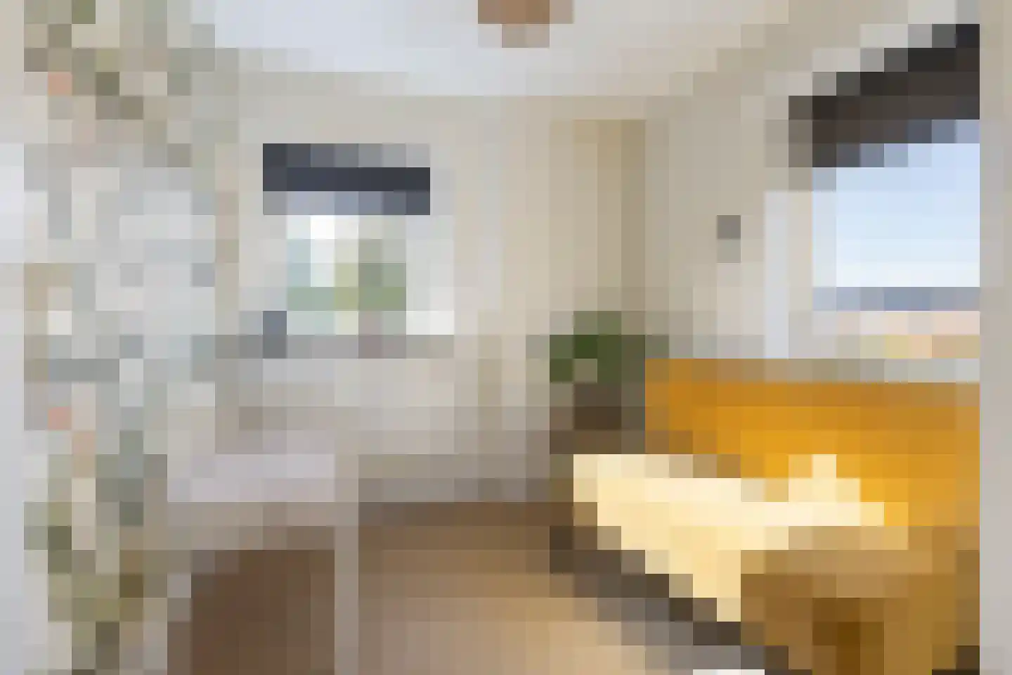 Nieuwe Akkers 2 a Paterswolde thumbnail 33