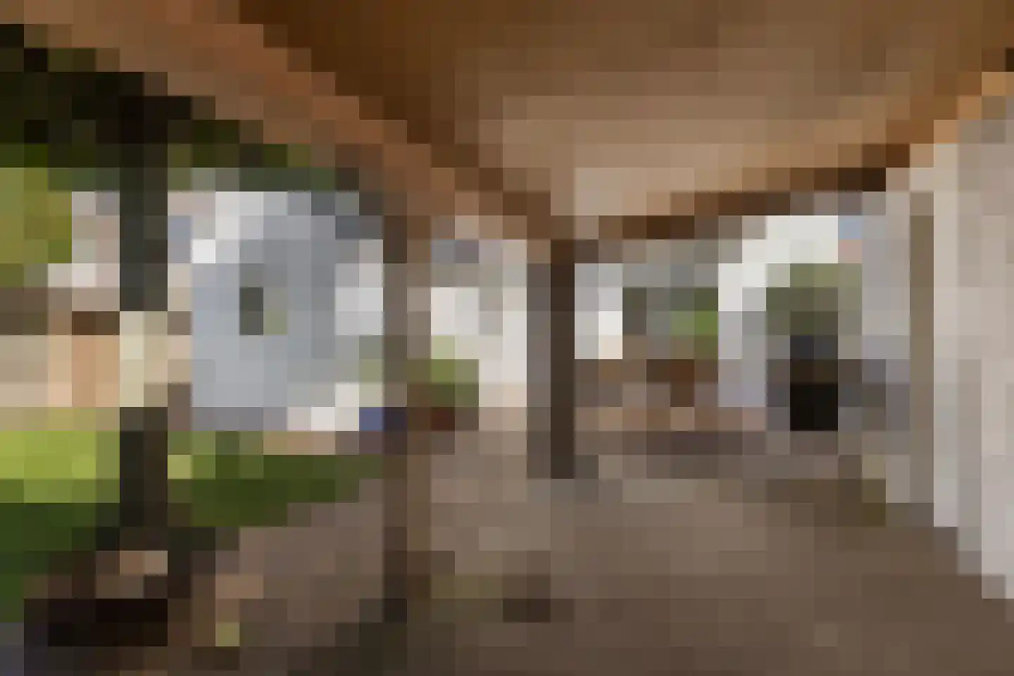 Nieuwe Akkers 2 a Paterswolde thumbnail 38
