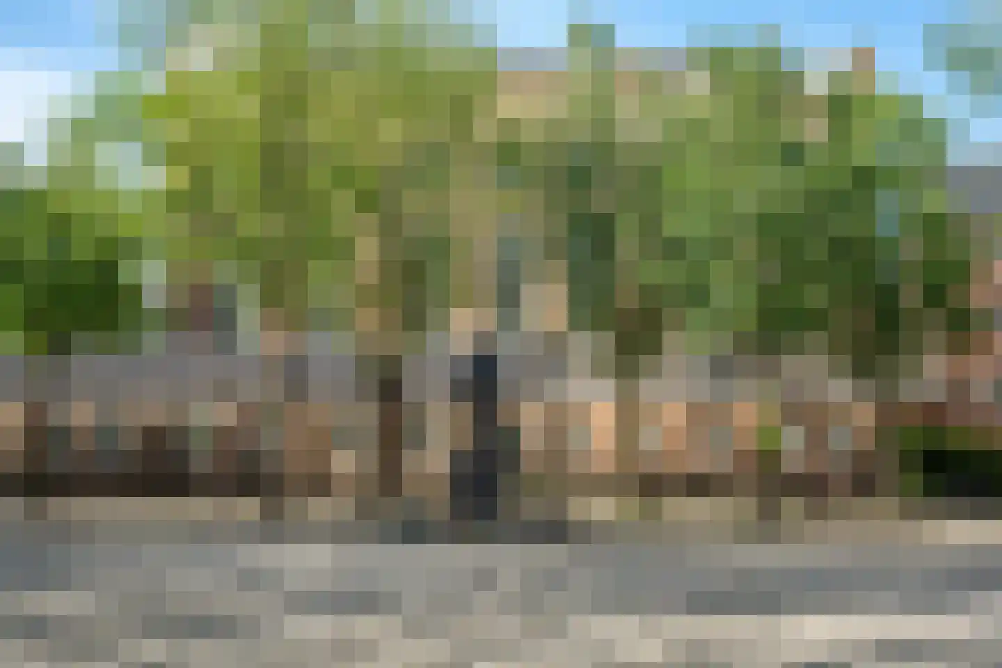 Nieuwe Amstelstraat 57 Amsterdam thumbnail 20