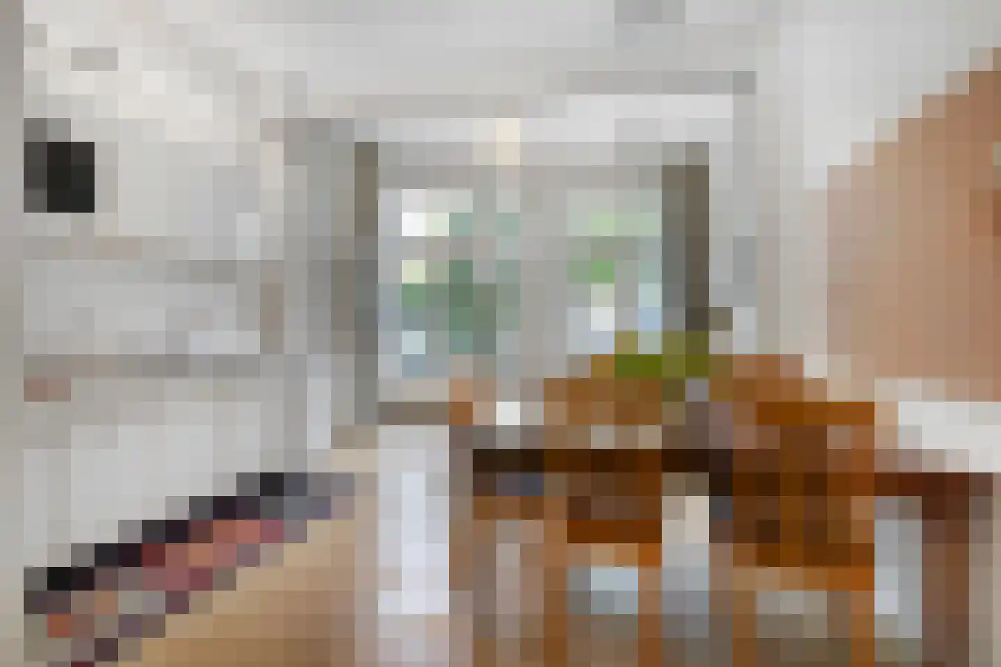 Nieuwe Amstelstraat 57 Amsterdam thumbnail 7