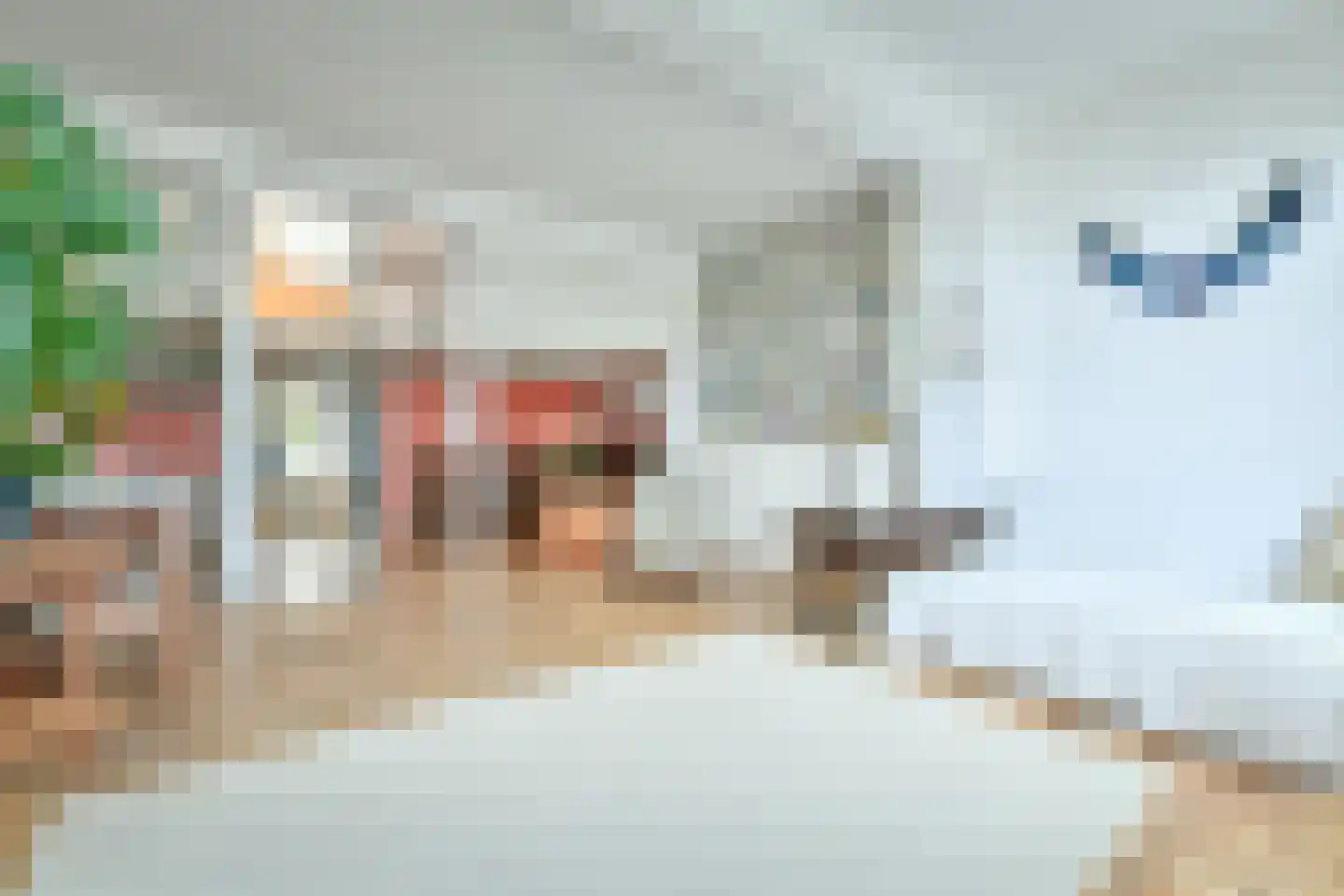 Nieuwe Amstelstraat 63 Amsterdam thumbnail 15