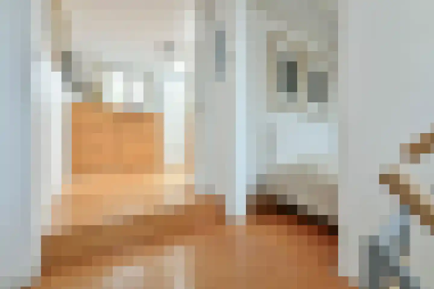 Nieuwe Amstelstraat 63 Amsterdam thumbnail 19