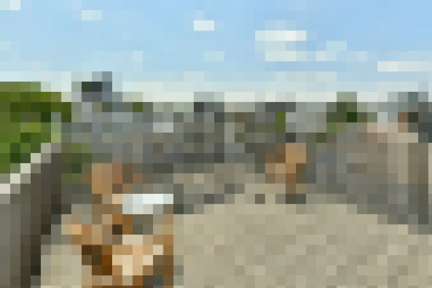 Nieuwe Amstelstraat 63 Amsterdam thumbnail 23
