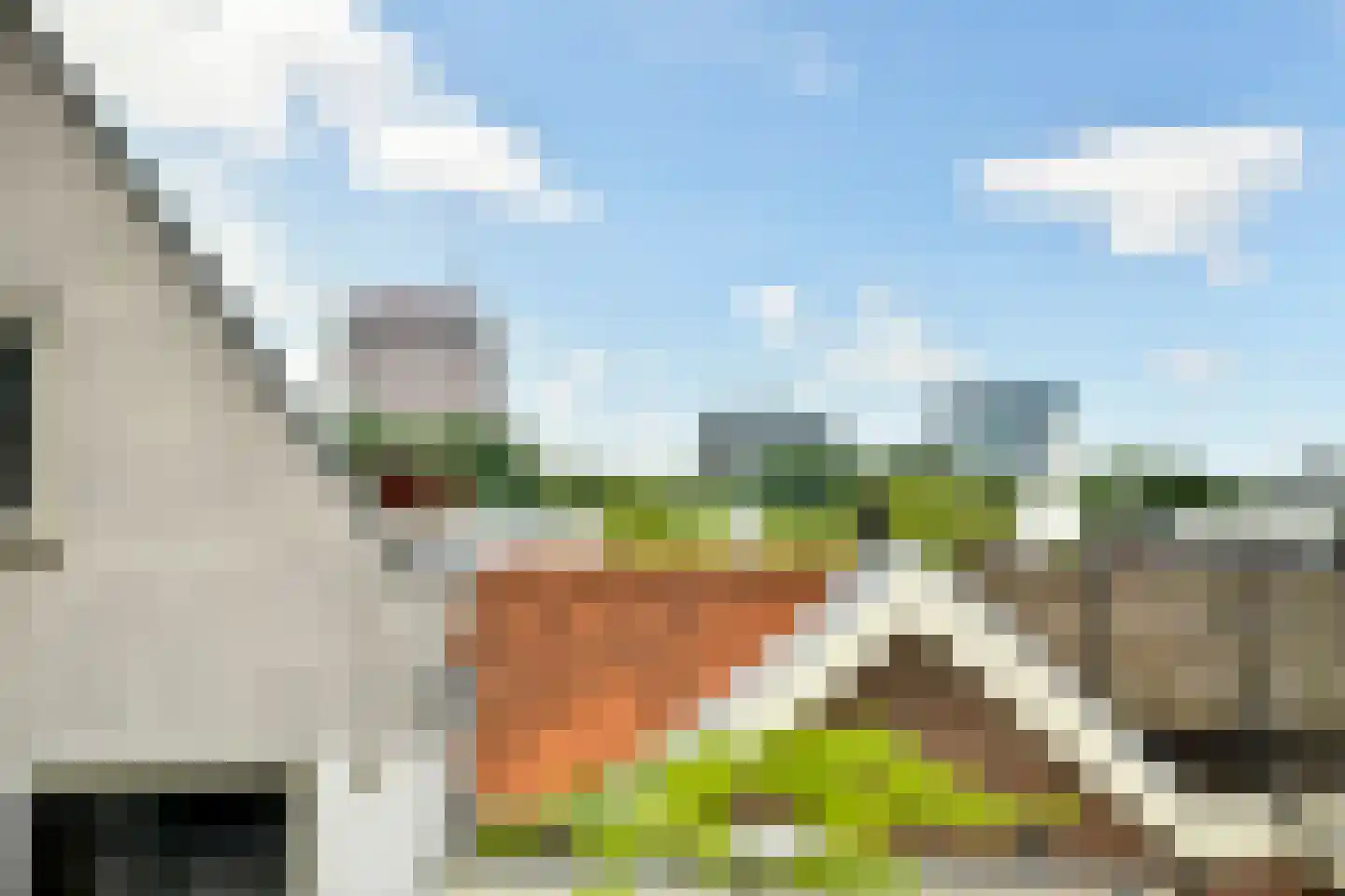 Nieuwe Amstelstraat 63 Amsterdam thumbnail 25