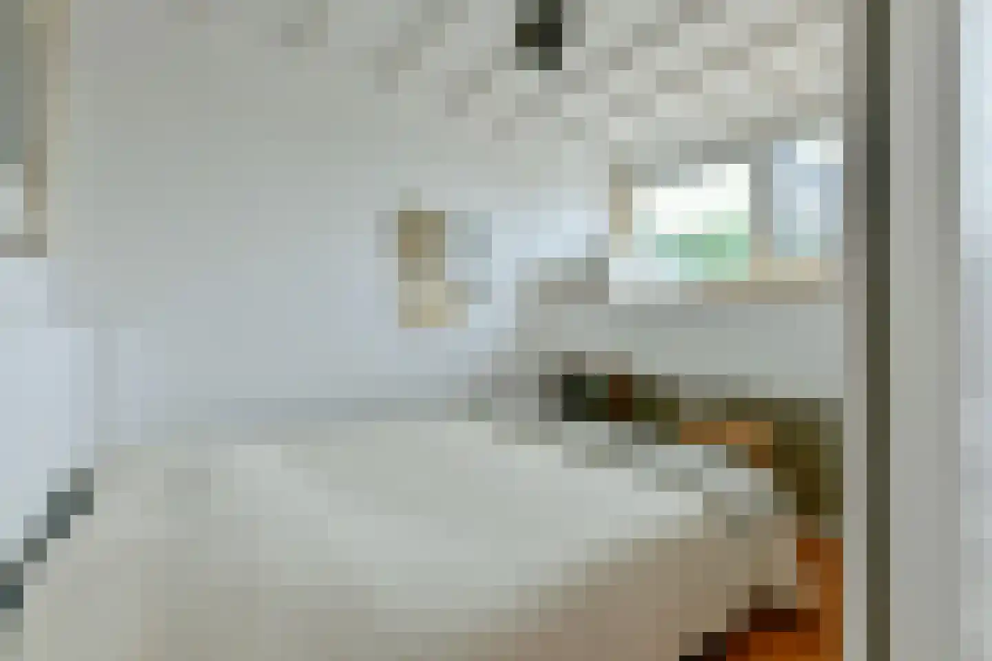 Nieuwe Amstelstraat 63 Amsterdam thumbnail 30