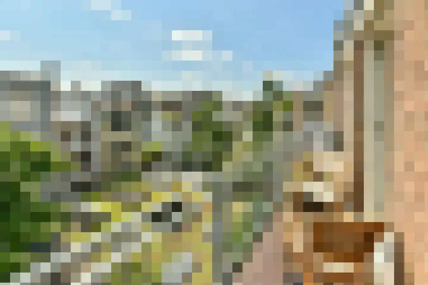 Nieuwe Amstelstraat 63 Amsterdam thumbnail 5