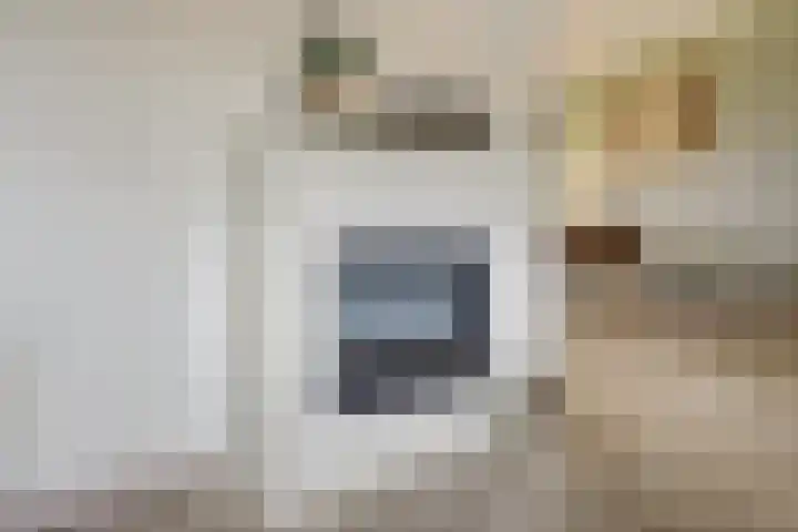 Nieuwe Baan 15 Tienray thumbnail 11