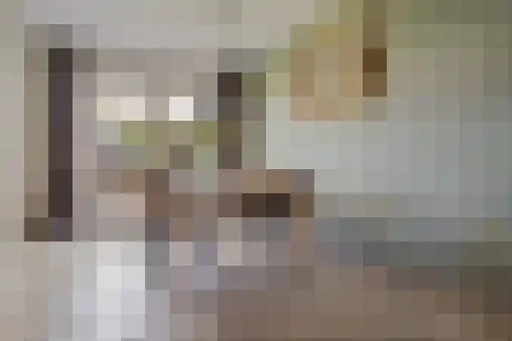 Nieuwe Baan 15 Tienray thumbnail 12