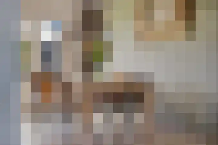 Nieuwe Baan 15 Tienray thumbnail 13
