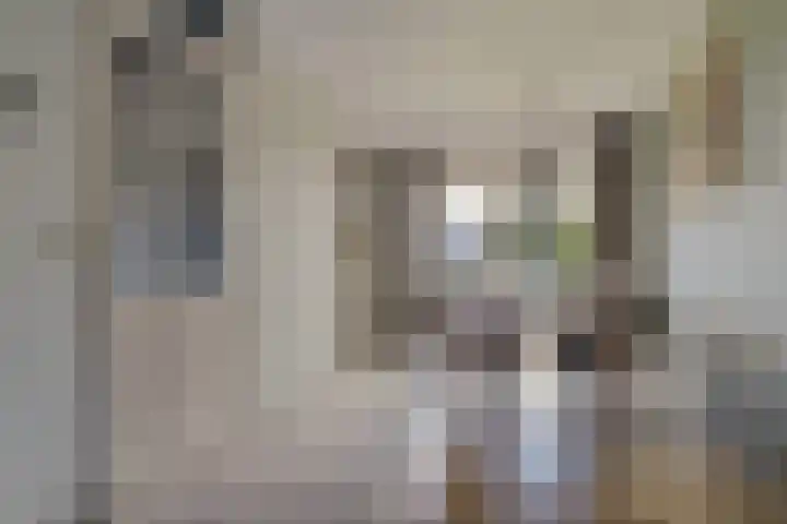 Nieuwe Baan 15 Tienray thumbnail 14
