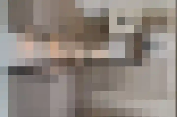 Nieuwe Baan 15 Tienray thumbnail 16