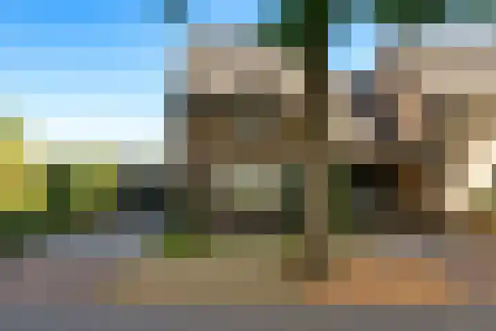 Nieuwe Baan 15 Tienray foto 2