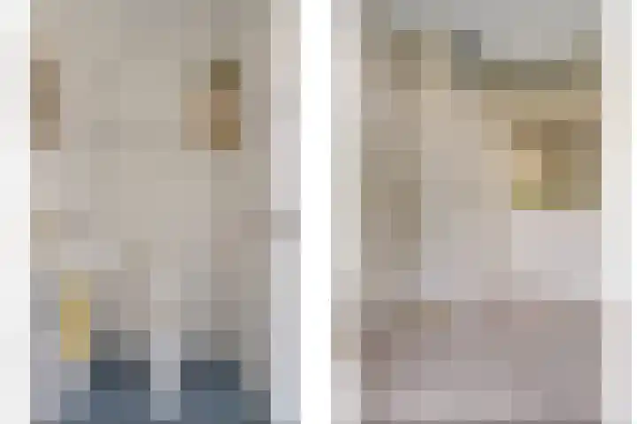 Nieuwe Baan 15 Tienray thumbnail 23