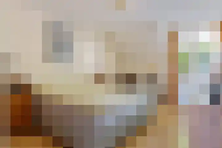 Nieuwe Baan 15 Tienray thumbnail 24
