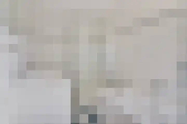 Nieuwe Baan 15 Tienray thumbnail 31