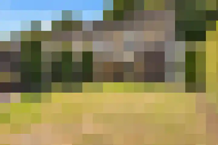 Nieuwe Baan 15 Tienray thumbnail 36
