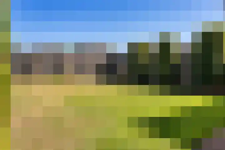 Nieuwe Baan 15 Tienray thumbnail 38