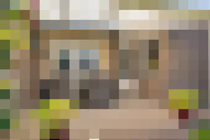 Nieuwe Baan 15 Tienray thumbnail 40