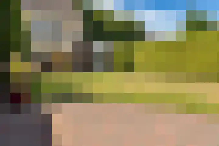 Nieuwe Baan 15 Tienray thumbnail 41