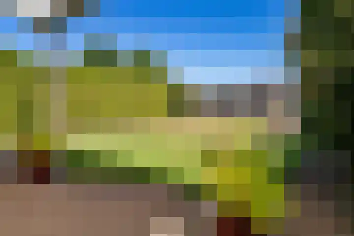 Nieuwe Baan 15 Tienray thumbnail 42