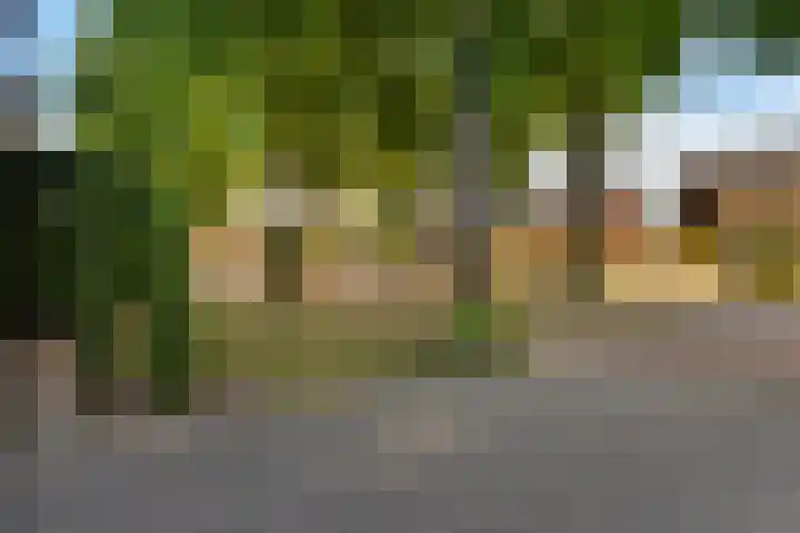 Nieuwe Baan 15 Tienray thumbnail 45