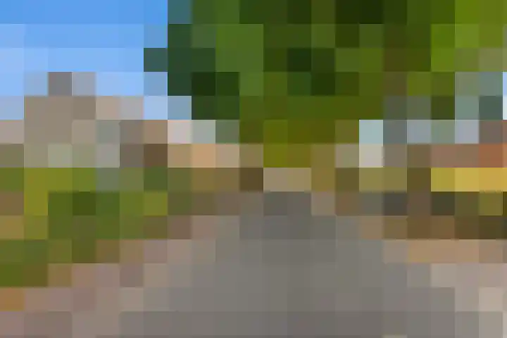 Nieuwe Baan 15 Tienray thumbnail 46