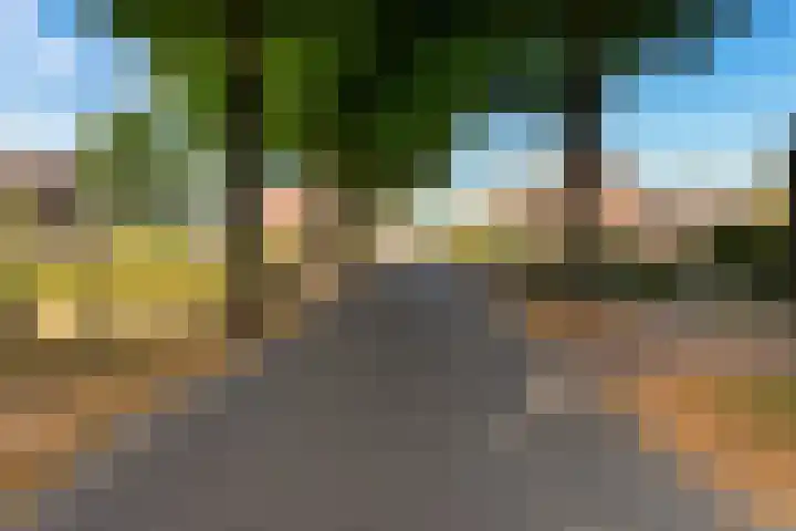 Nieuwe Baan 15 Tienray thumbnail 48