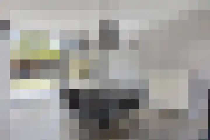 Nieuwe Baan 19 Herten thumbnail 12