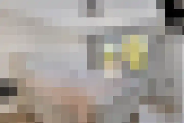 Nieuwe Baan 19 Herten thumbnail 19