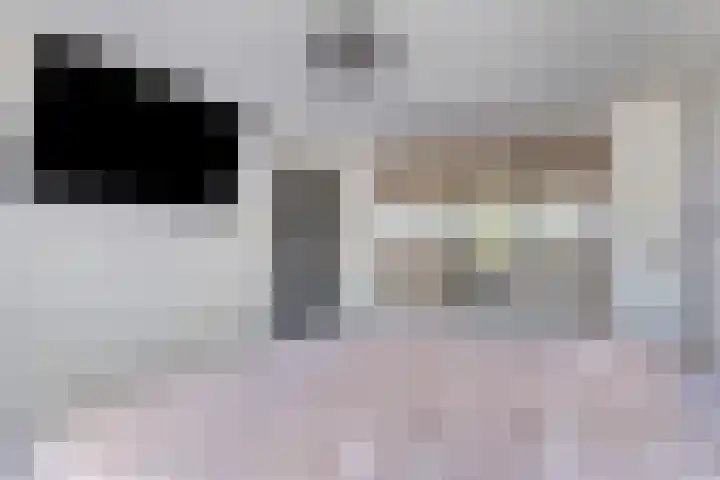 Nieuwe Baan 19 Herten thumbnail 20