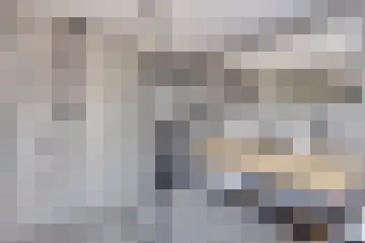 Nieuwe Baan 19 Herten thumbnail 22