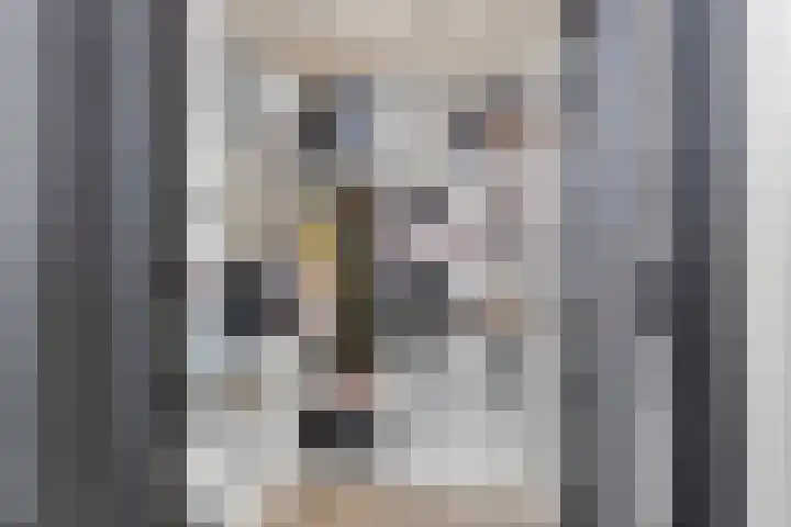 Nieuwe Baan 19 Herten thumbnail 24